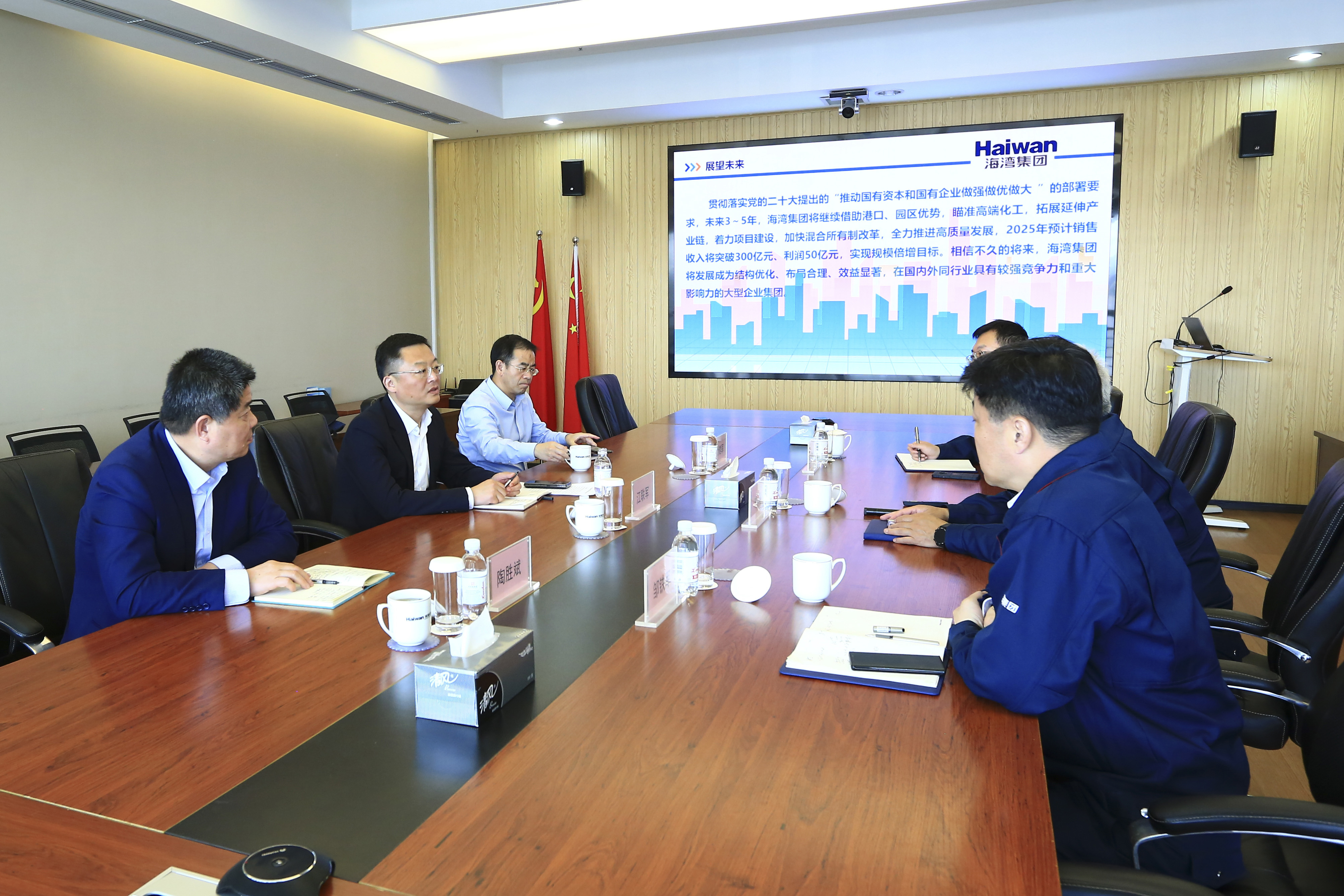 市政府(fu)副秘書長到海(hai)灣化學調研