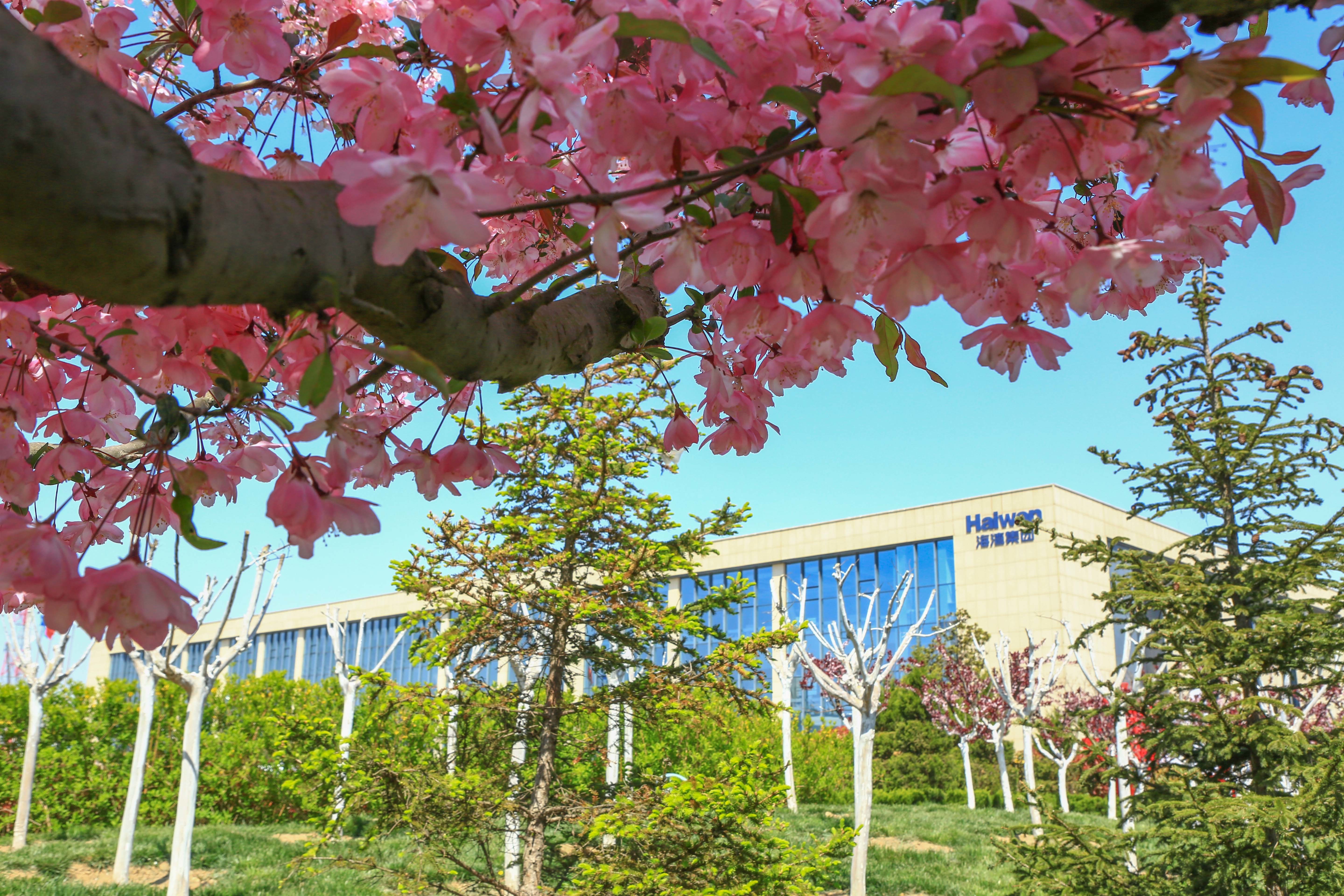 海灣化學組織(zhi)“愛心基金”捐款(kuǎn)